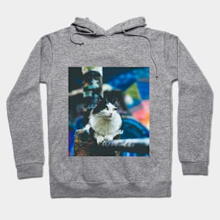 Cat Blue Hoodie